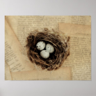 Bird's Nest With Eggs Modern Vintage Easter Poster