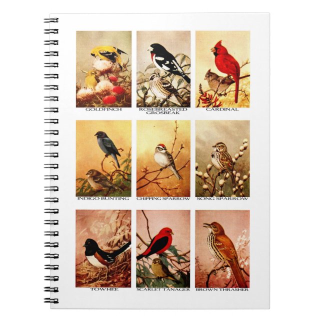 Birds Notebook (Front)