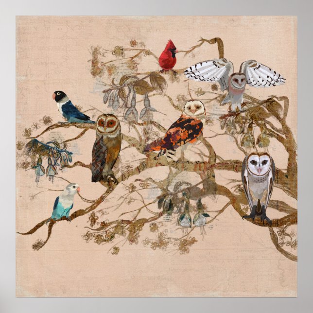 BIRDS OF A FEATHER BRANCH Poster (Front)