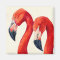Birds Of A Feather - Greater Flamingos
