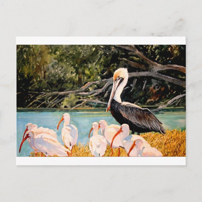 Birds of a Feather Postcard (Front)