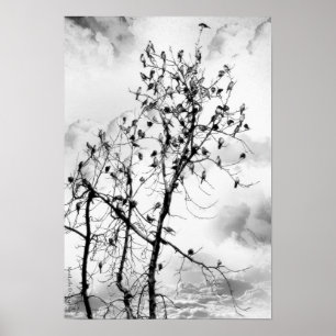 Birds of a Feather Poster