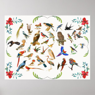 Birds of a Feather Poster