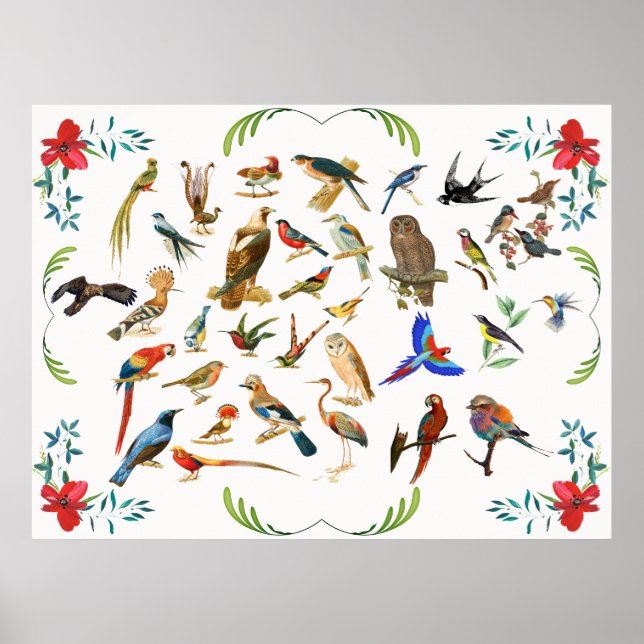 Birds of a Feather Poster (Front)