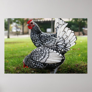 "Birds of a Feather" Poster