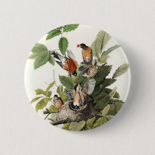 Birds of America (1827) by John James Audubon 6 Cm Round Badge