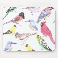 Birds of America- pets and wild birds mosaic