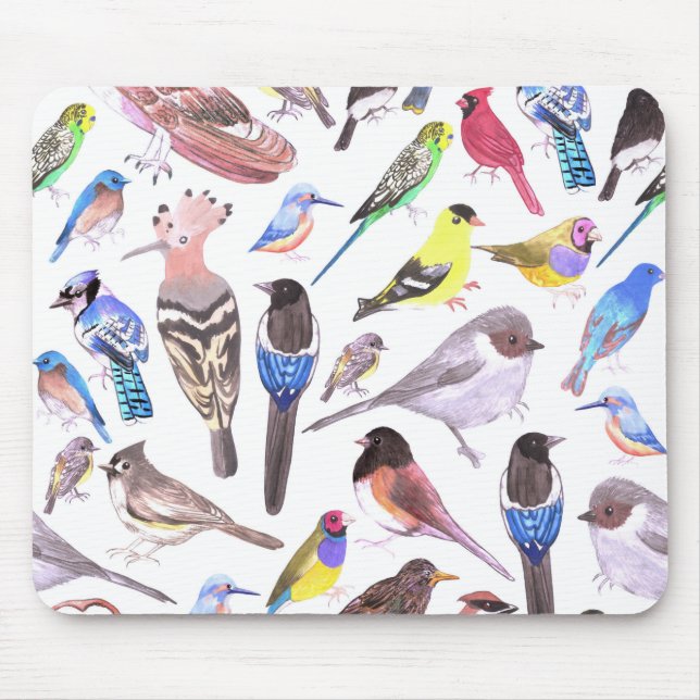 Birds of America- pets and wild birds Mouse Pad (Front)