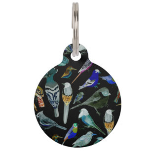 Birds of America- pets and wild birds Pet Tag