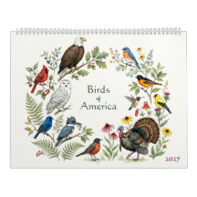 Birds of America - Two Page 2027