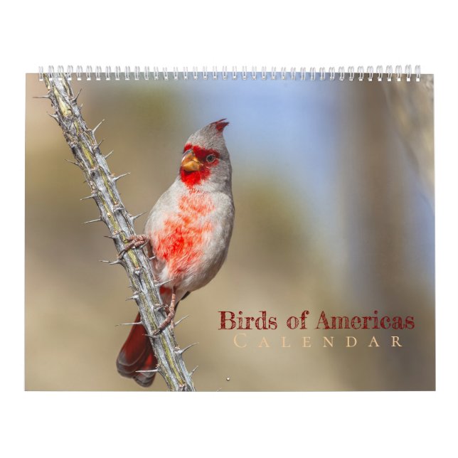 Birds of Americas  Calendar (Cover)