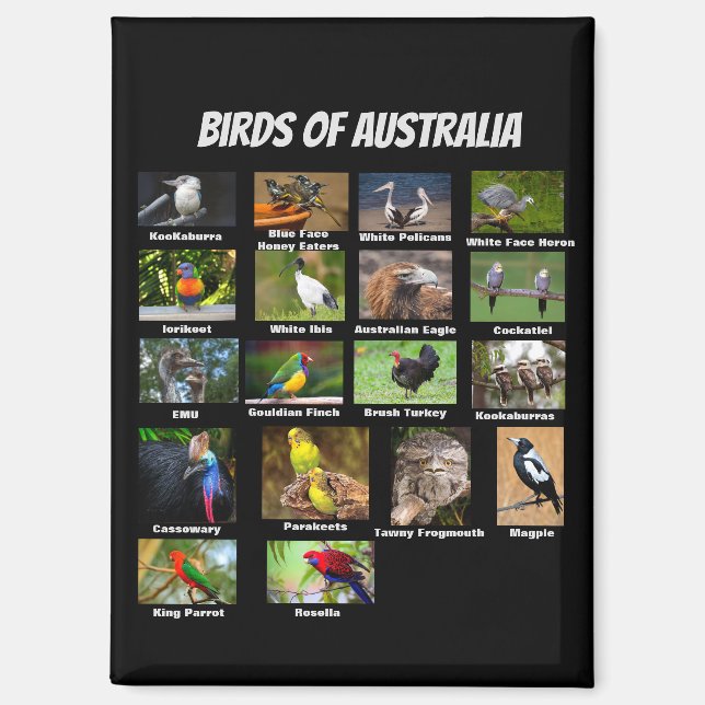 Birds of Australia Magnet (Front)