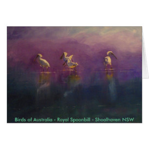 Birds of Australia - Royal Spoonbill ...