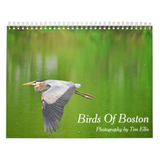 "Birds Of Boston" 2021 Calendar