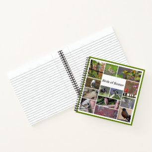 Birds of Boston Notebook