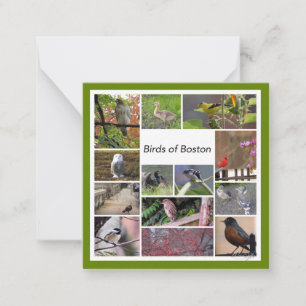 Birds of Boston Photo Collage Card