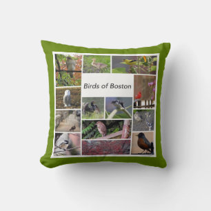 Birds of Boston Photo Collage Cushion