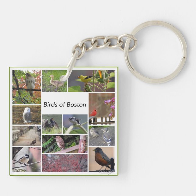 Birds of Boston Photo Collage Key Ring (Back)