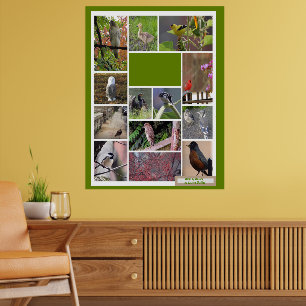 Birds of Boston Poster