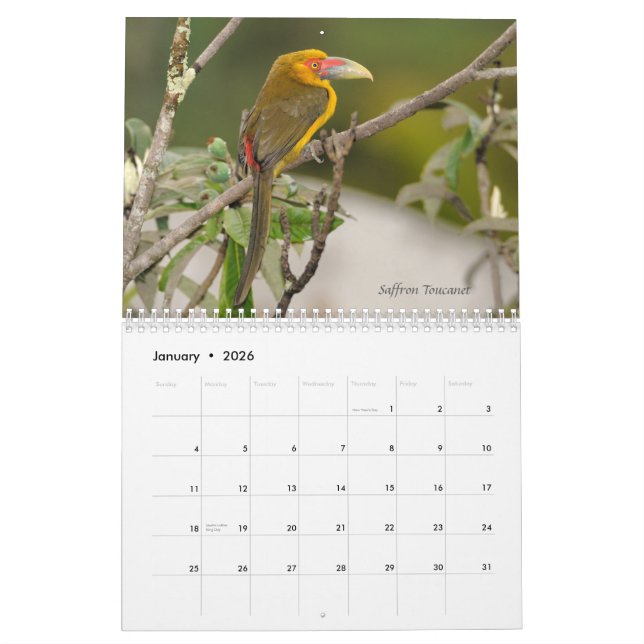 Birds of Brazil's Atlantic Forest Calendar (Jan 2026)
