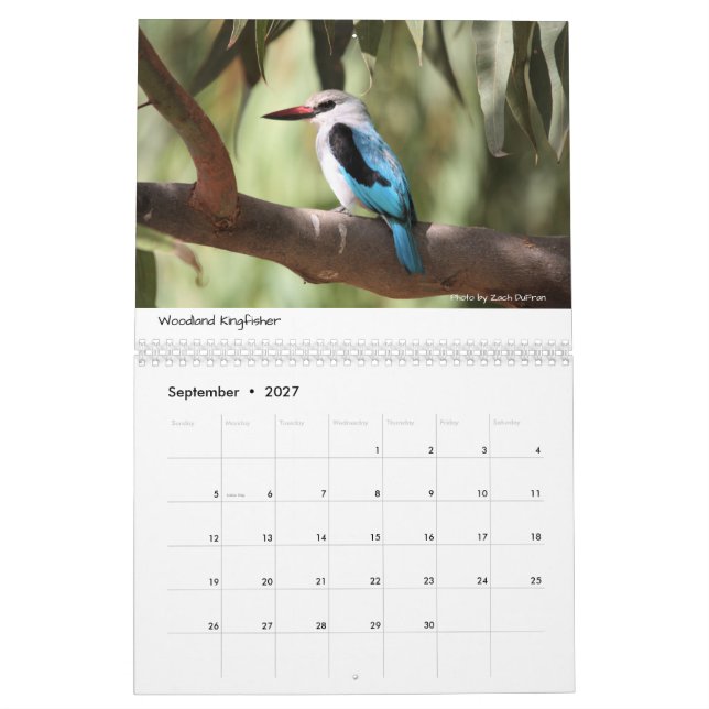 Birds of Ethiopia calendar (Sep 2027)