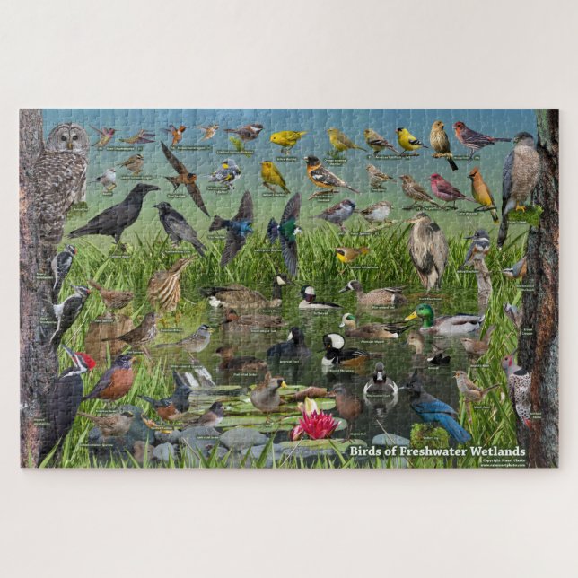 Birds of Freshwater Wetlands Jigsaw Puzzle (Horizontal)