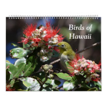 Birds of Hawaii