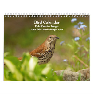 Birds of Many Feathers 2026 Calendar