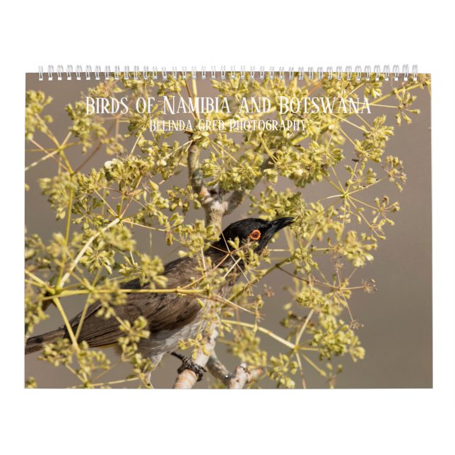 Birds of Namibia and Botswana Calendar (Cover)