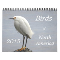 Birds of North America - 2015