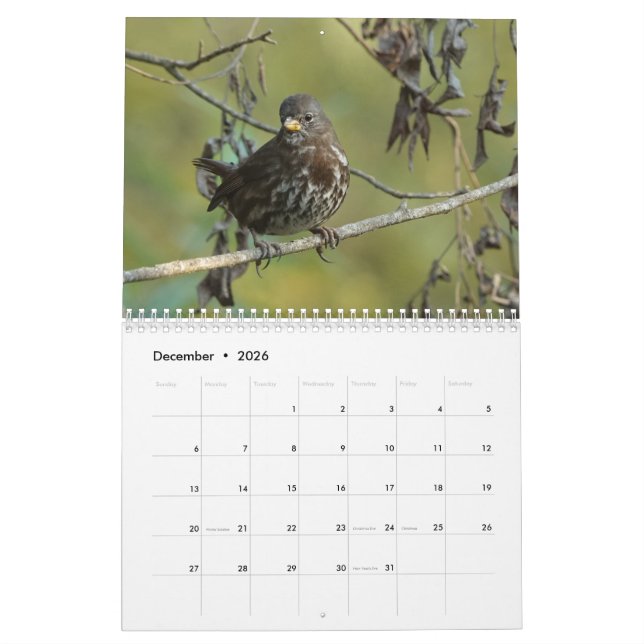 Birds of North America 2019 calendar (Dec 2026)