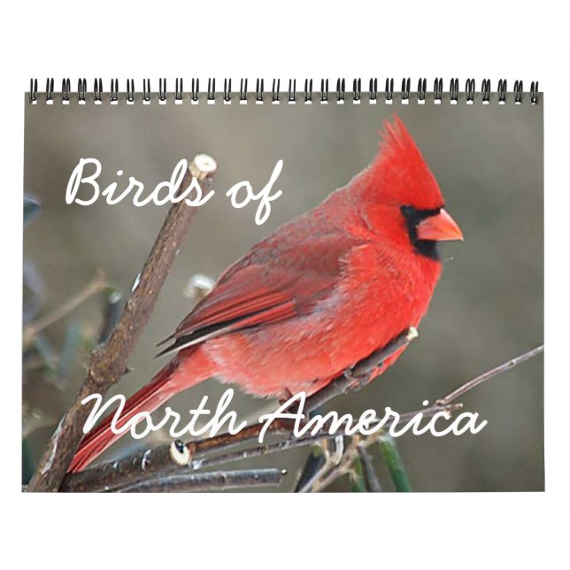 Birds of North America Calendar (Cover)