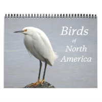Birds of North America Calendar