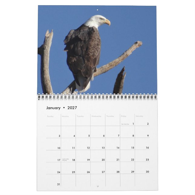 Birds of North America  Calendar (Jan 2027)