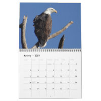 Birds of North America
