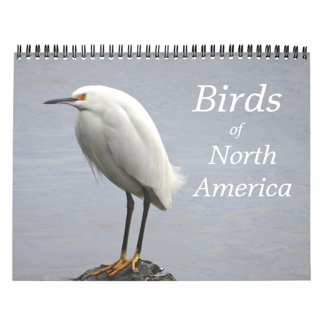 Birds of North America  Calendar (Cover)