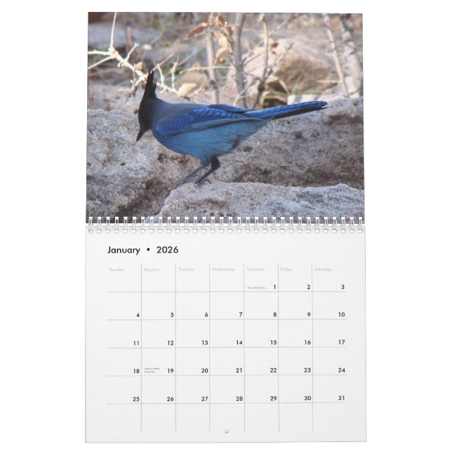 Birds of North America Calendar (Jan 2026)