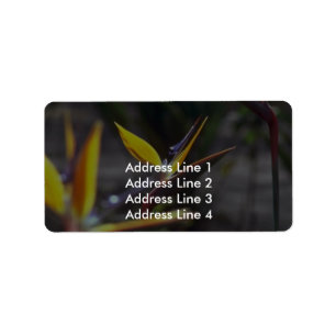 Birds Of Paradise Label