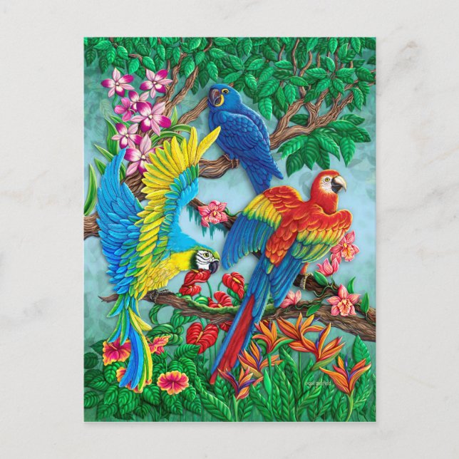 Birds of Paradise Postcard (Front)