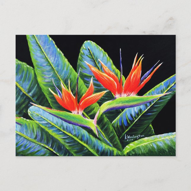 Birds of Paradise Postcard (Front)