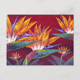 Birds Of Paradise Tropical Flower - Multi Postcard