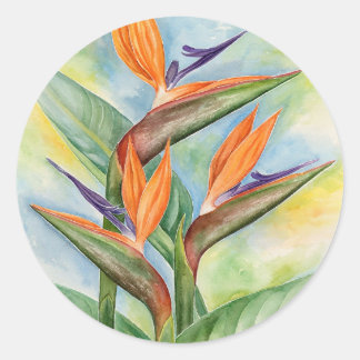 Birds Of Paradise Watercolor Flowers Painting Art Classic Round Sticker