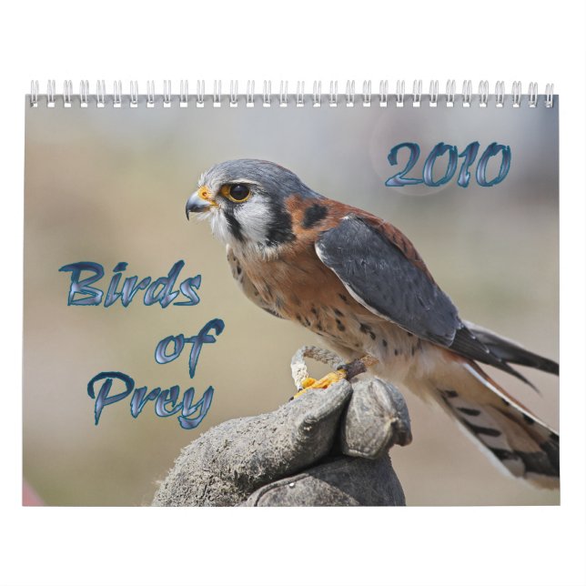 Birds of Prey 2010 Calendar (Cover)