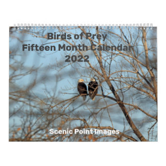 Birds of Prey 2022 Fifteen Month Calendar