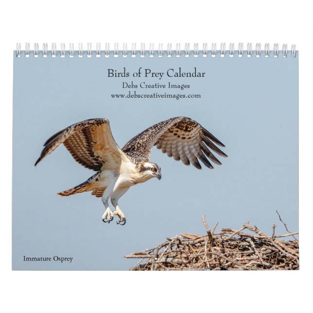 Birds of Prey 2026 Calendar (Cover)