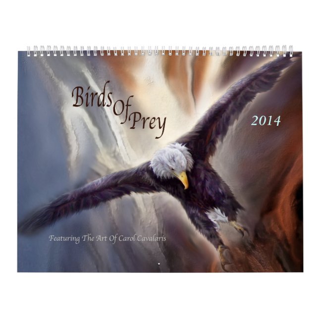 Birds Of Prey Art Calendar 2014 (Cover)