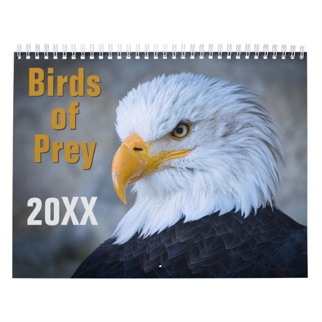 Birds of Prey Calendar (Cover)