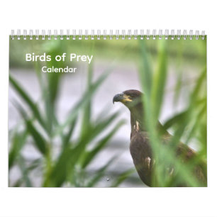 Birds of Prey Calendar
