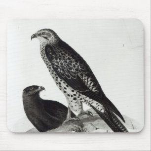 Birds of Prey Mouse Pad