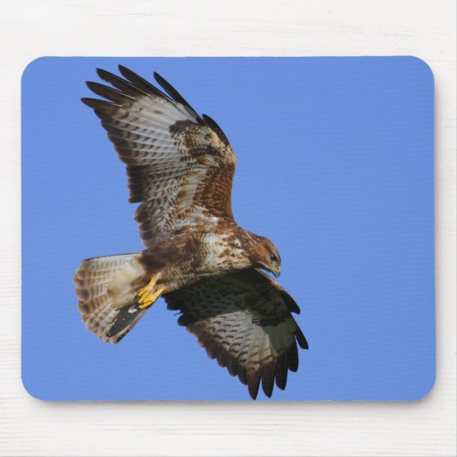 Birds of Prey Mousemats (Front)